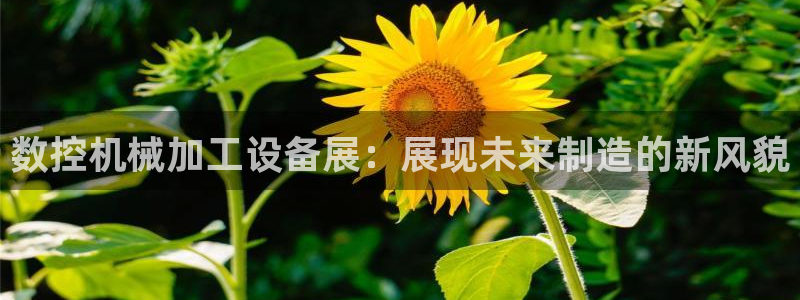 天辰娱乐入口
