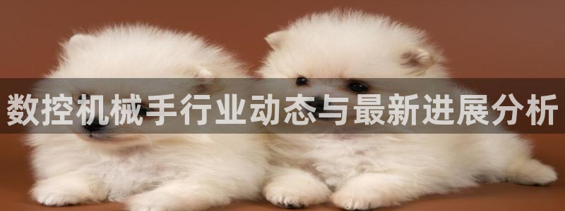 天辰 娱乐：数控机械手行业动态与最新进展分析