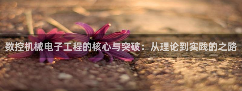 天辰娱乐服务
