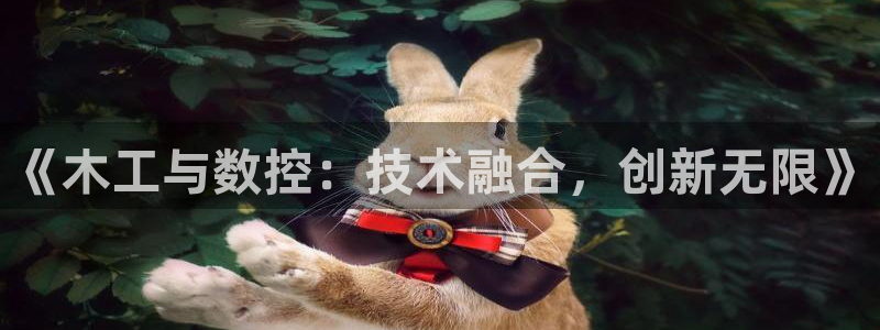 天辰娱乐1980：《木工与数控：技术融合，创新无限》