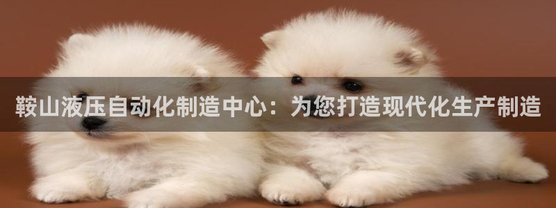 天辰娱乐招商:鞍山液压自动化制造中心:为您打造现代化生产制造