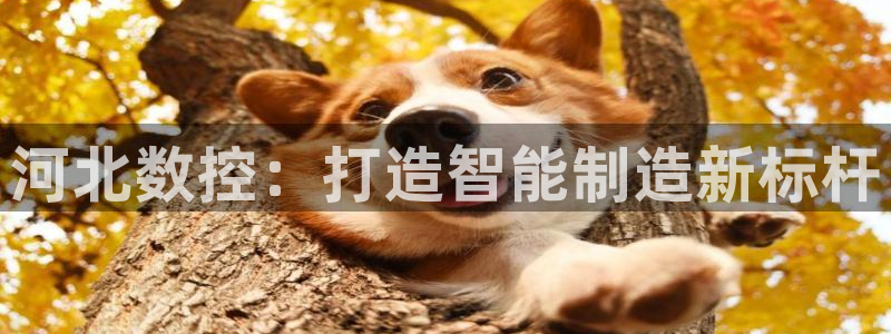 天辰娱乐十分彩