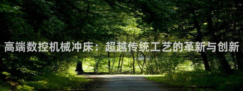 天辰娱乐游戏:高端数控机械冲床:超越传统工艺的革新与创新