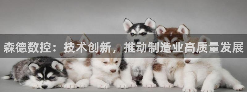 天辰娱乐天辰宝：森德数控：技术创新，推动制造业高质量发展