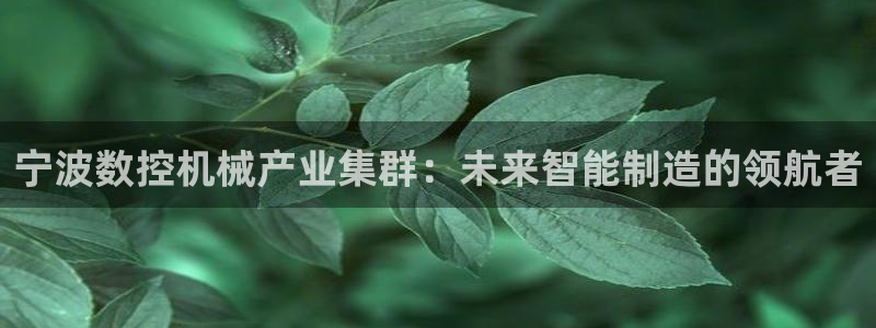 天辰娱乐的网址首页：宁波数控机械产业集群：未来智能制造的领航者