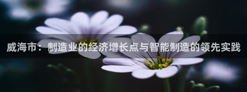 天辰娱乐APP下载：威海市：制造业的经济增长点与智能制造的领先实践