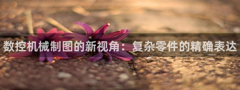 天辰娱乐平台登录账号