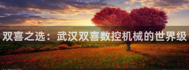 天辰娱乐游客:双喜之选:武汉双喜数控机械的世界级