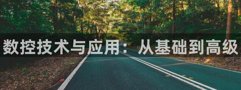 天辰(娱乐注册：数控技术与应用：从基础到高级