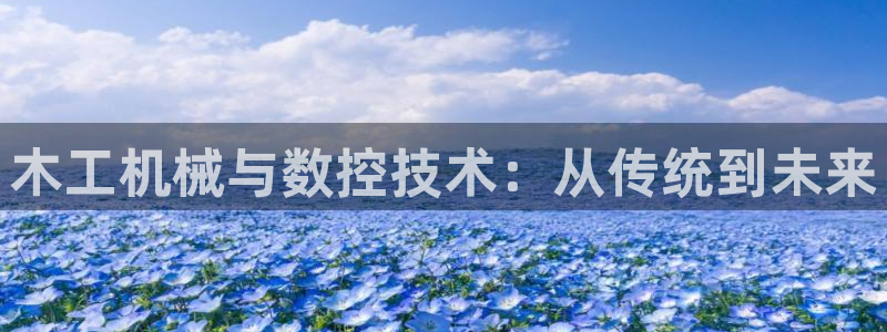 广东天辰娱乐