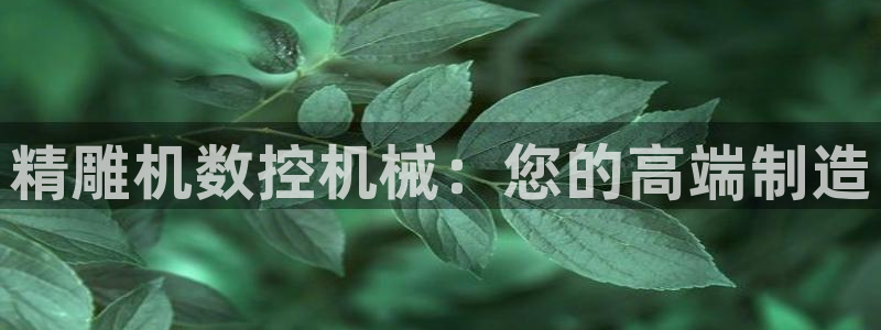 辰天娱乐