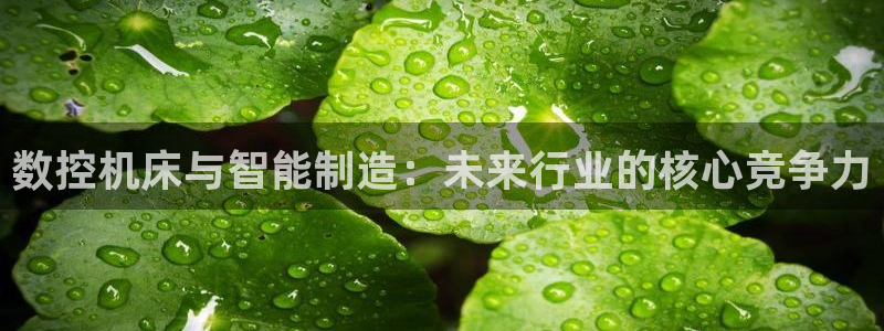 天辰娱乐官方