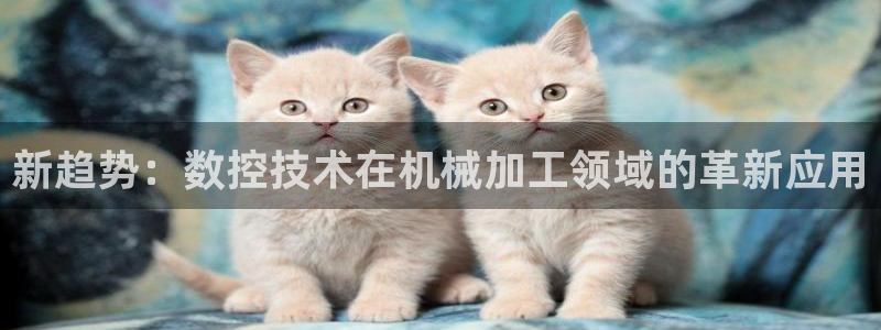 天辰娱乐app