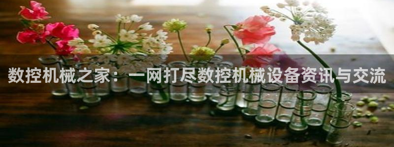 天辰娱乐在线