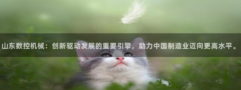 天辰娱乐下载