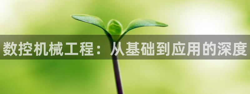 天辰娱乐39596