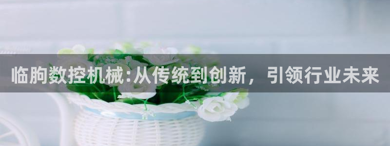 天辰娱乐直属