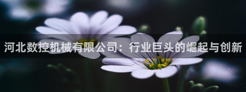 天辰娱乐游客