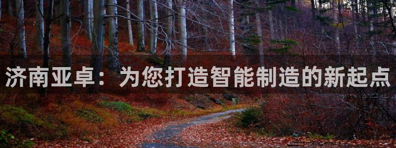 天辰 娱乐：济南亚卓：为您打造智能制造的新起点