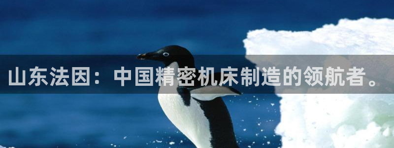 天辰臣娱乐