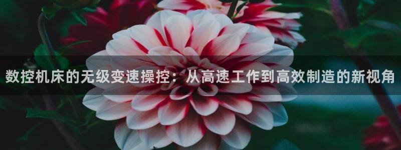 哈尔滨天辰娱乐